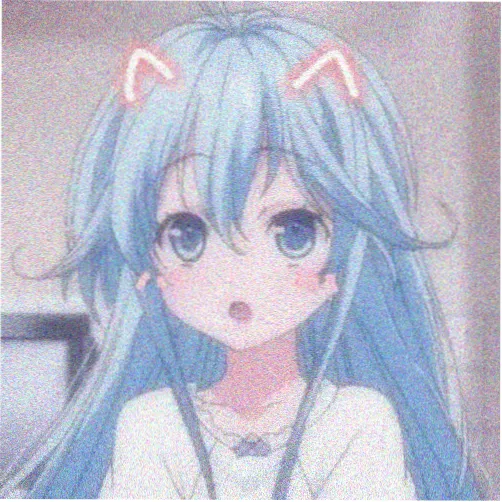 读者白露头像